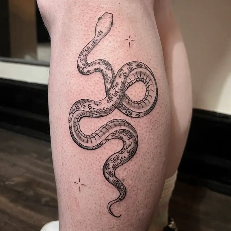Black and gray coiled snake tattoo with star accents on calf — Killer Silver Tattoo Studio