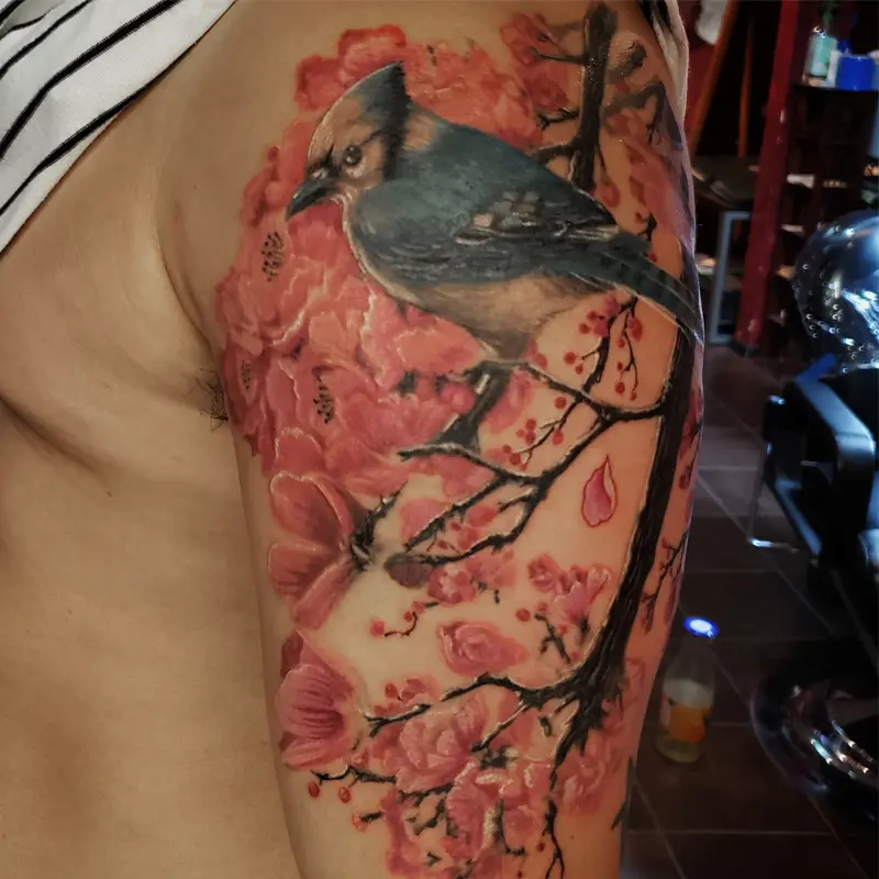 Asian fusion color tattoo of a blue jay perched on a cherry blossom branch, by Philipus