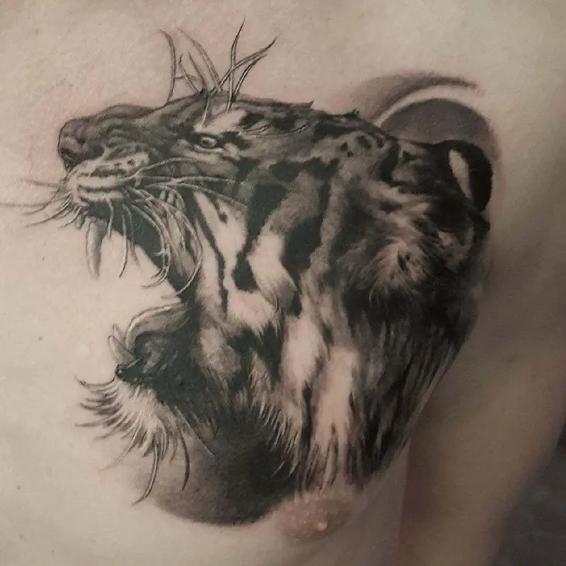Black and gray realism chest tattoo of a roaring tiger, by Philipus