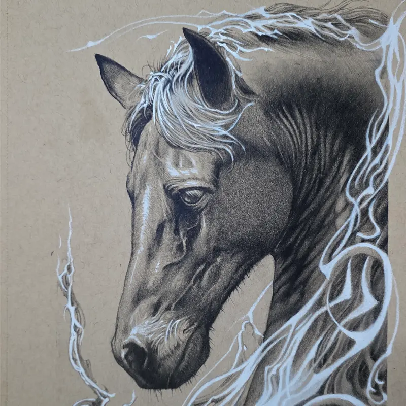 Graphite and white ink drawing of a horse's head by Philipus, on toned paper
