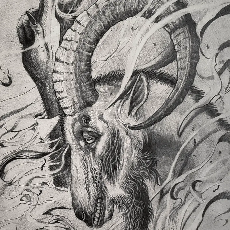Philipus ibex goat drawing